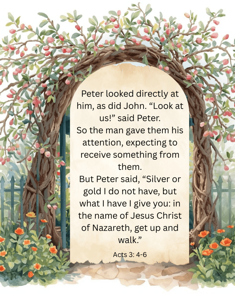 Illustration of an open garden gate framed by blooming almond branches, leading into a sunlit garden with trees and flowers beyond.